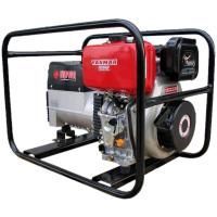 Генератор дизельный сварочный EUROPOWER EP 180 DX2 DC купить в Москве с доставкой по всей России | ProtosMarket.ru