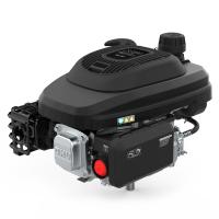 Двигатель бензиновый EVOline XP 200 A купить в Москве с доставкой по всей России | ProtosMarket.ru