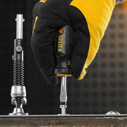 Набор отверток на полке, 8 шт., PH+SL, S2, 3к рукоятка Denzel купить в Москве с доставкой по всей России | ProtosMarket.ru