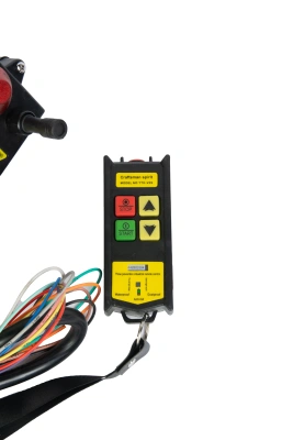 Комплект радиоуправления TOR F21-2D (380В, 2 кнопки, двухскоростной) купить в Москве с доставкой по всей России | ProtosMarket.ru