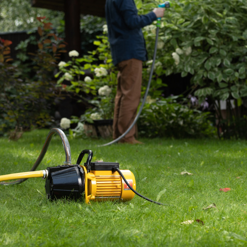 Садовый поверхностный насос GP1100C, 1100 Вт, 4500 л/ч, подъем 46 м, чугун Denzel купить в Москве с доставкой по всей России | ProtosMarket.ru