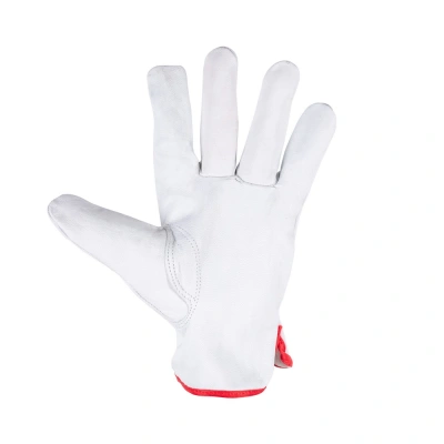 Перчатки кожаные мягкие FOXWELD Акула СА-03 купить в Москве с доставкой по всей России | ProtosMarket.ru