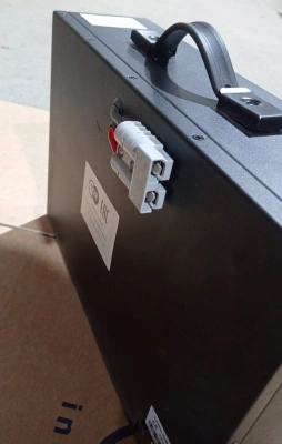 Аккумулятор литий-ионный (Li-ion) 24В/40Ач 365х105х260 для штабелёров TS12 купить в Москве с доставкой по всей России | ProtosMarket.ru