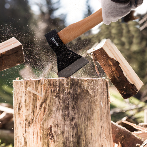 Топор, 600 г, в сборе, кованый, деревянное топорище Sparta купить в Москве с доставкой по всей России | ProtosMarket.ru