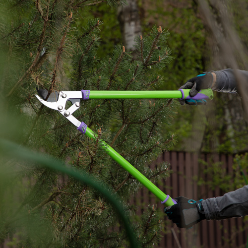 Сучкорез прямого реза, 750 мм, двухрычажный механизм, двухкомпонентные рукоятки, Palisad купить в Москве с доставкой по всей России | ProtosMarket.ru