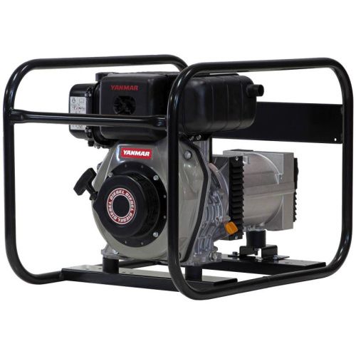 Генератор дизельный EUROPOWER EP 4000 D купить в Москве с доставкой по всей России | ProtosMarket.ru