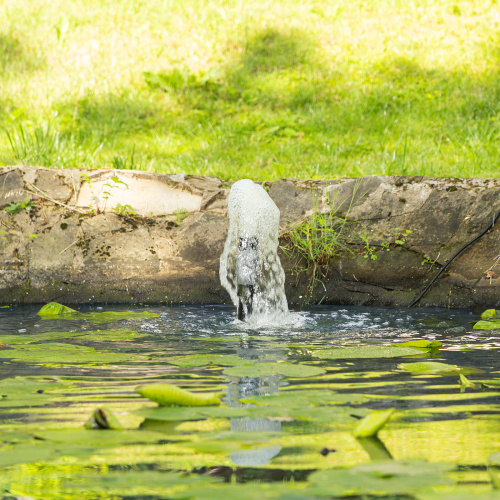 Насос фонтанный FNP90-39, 92 Вт, подъем 3,9 м, 3200 л/ч, колокольчик/каскад/гейзер Denzel купить в Москве с доставкой по всей России | ProtosMarket.ru