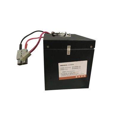 Аккумуляторная батарея 24В 50 Ач Li-ion купить в Москве с доставкой по всей России | ProtosMarket.ru