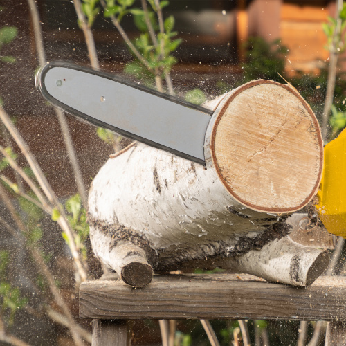 Цепная пила аккумуляторная бесщеточная RCS400-36, Li-ion, 36 В, 4 Ач, шина 400 мм Denzel купить в Москве с доставкой по всей России | ProtosMarket.ru