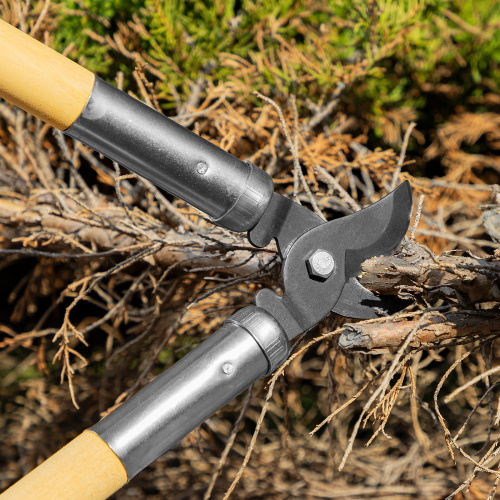 Сучкорез прямого реза, 500 мм, деревянные рукоятки, Горизонт, купить в Москве с доставкой по всей России | ProtosMarket.ru