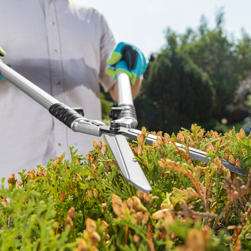 Кусторез, 600 мм, кованый, алюминиевые обрезиненные рукоятки, Forged LUXE Palisad по ценам производителя в Казани с доставкой по всей России