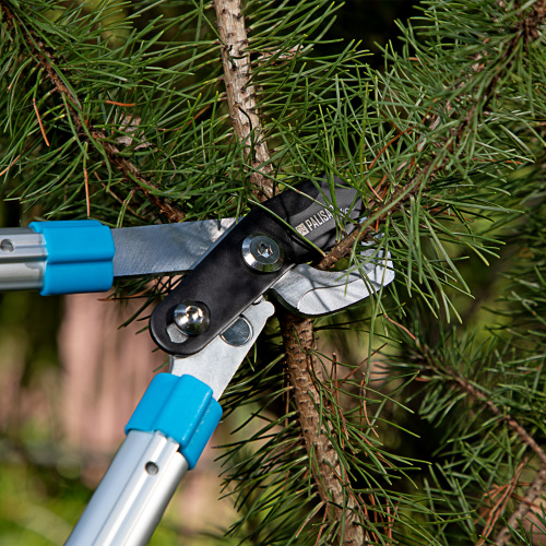 Сучкорез прямого реза, 560 - 735 мм, телескопические алюминиевые рукоятки, Luxe, Palisad купить в Москве с доставкой по всей России | ProtosMarket.ru