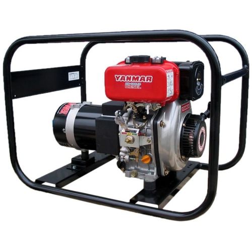 Генератор дизельный EUROPOWER EP 2800 D купить в Москве с доставкой по всей России | ProtosMarket.ru