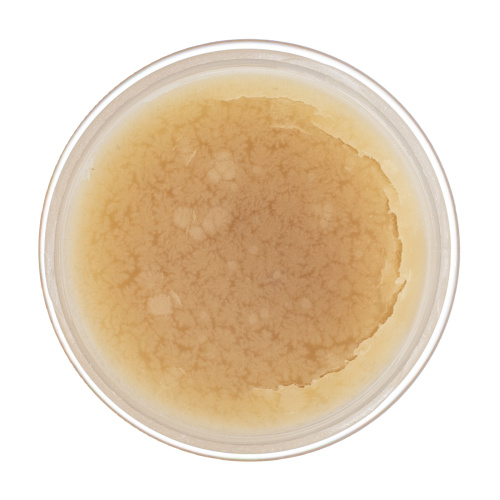 Жир паяльный нейтральный, 20 г Сибртех купить в Москве с доставкой по всей России | ProtosMarket.ru