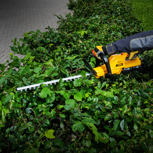 Кусторез аккумуляторный RBC510-36, Li-ion, 36 В, 4 Ач, нож 510 мм, поворотная ручка Denzel купить в Москве с доставкой по всей России | ProtosMarket.ru