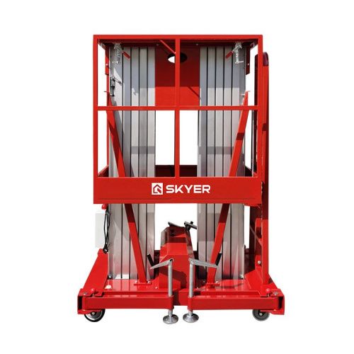 Двухмачтовый подъемник SKYER GTWY8-200 AC/DC купить в Москве с доставкой по всей России | ProtosMarket.ru