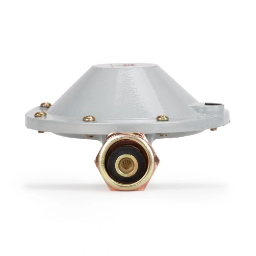 Редуктор бытовой пропановый РДСГ-1-1,2 купить в Москве с доставкой по всей России | ProtosMarket.ru