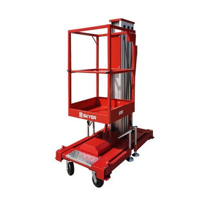 Одномачтовый подъемник SKYER GTWY8-100 AC/DC купить в Москве с доставкой по всей России | ProtosMarket.ru