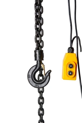 Таль электрическая цепная TOR ТЭШ (DHS) 3,0 т 12 м (серия J) купить в Москве с доставкой по всей России | ProtosMarket.ru