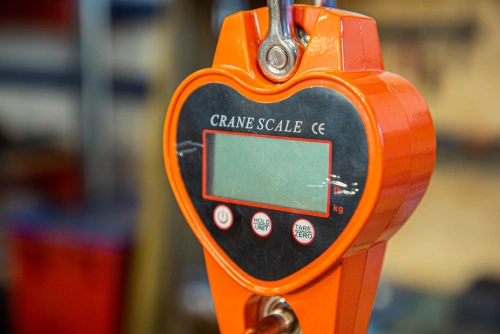 Весы электронные крановые TOR OCS-L 500кг по ценам производителя в Казани с доставкой по всей России