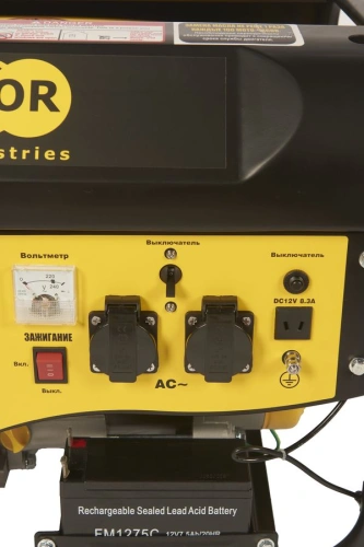 Генератор бензиновый 2,0 кВт 220В 15л с электростартером TOR TR2500E по ценам производителя в Казани с доставкой по всей России