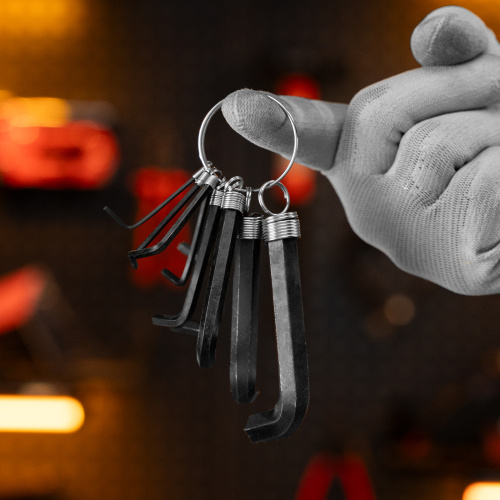 Набор ключей имбусовых HEX, 1.5-10 мм, CrV, 10 шт, оксидированные, на кольце Sparta купить в Москве с доставкой по всей России | ProtosMarket.ru